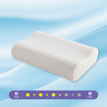 Load image into Gallery viewer, Tencel Contour Pillow
